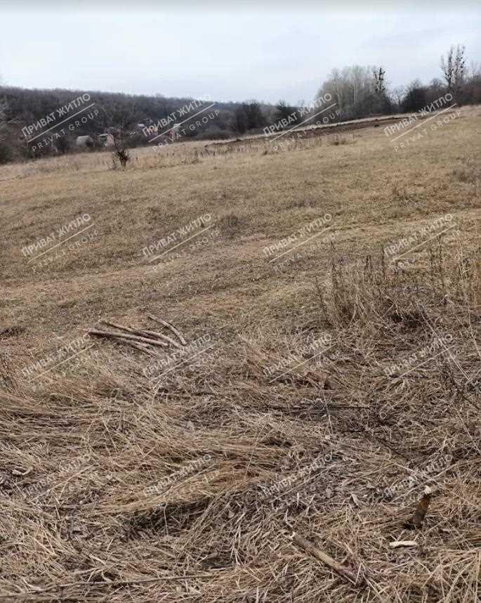 Дачный участок в Нижних Млынах. | Приват житло