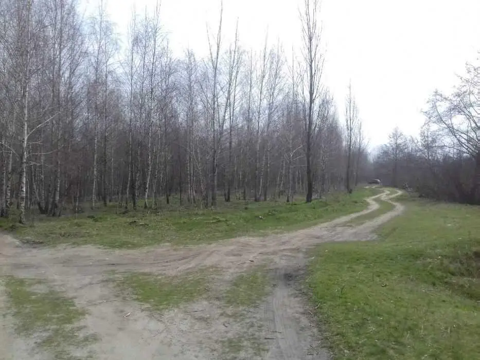 Земельна ділянка в Терешках | Приват житло