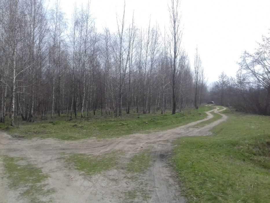 Земельна ділянка в Терешках | Приват житло