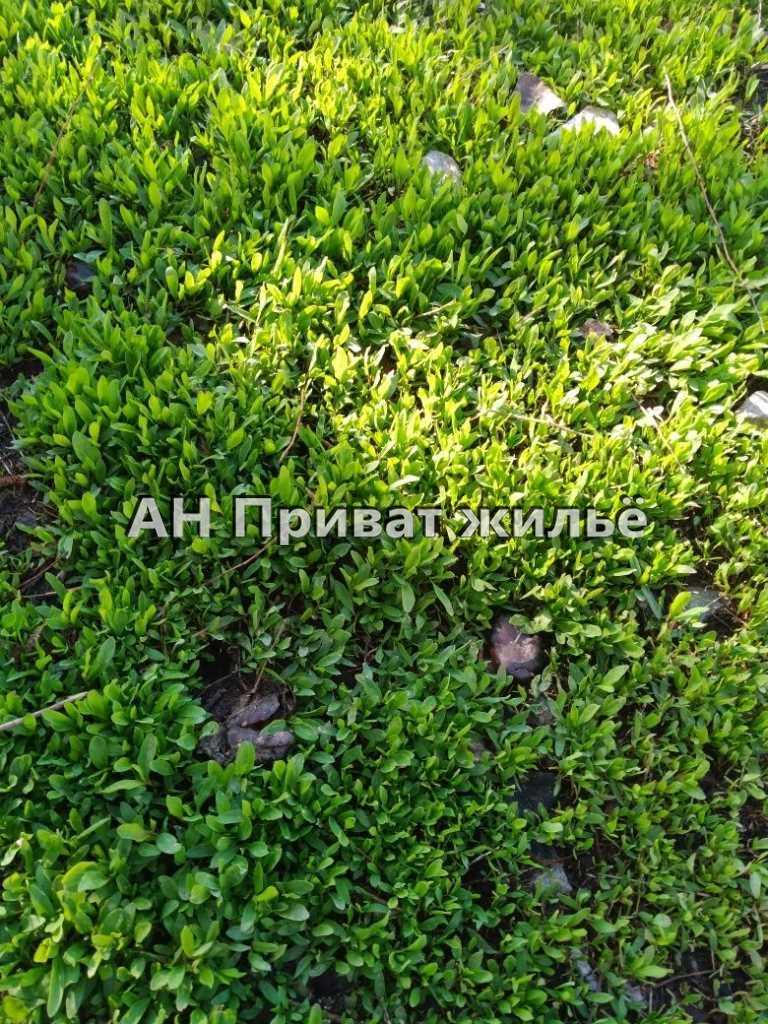 Большой участок под застройку, Супруновка! | Приват житло