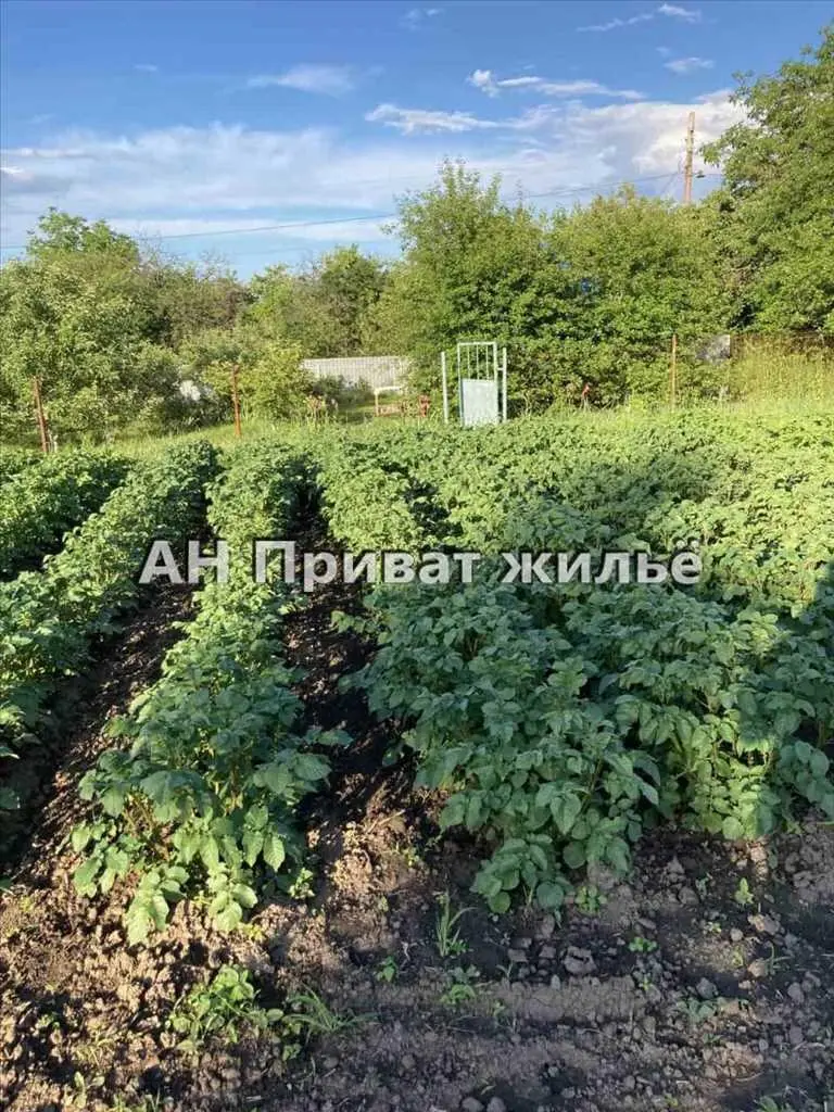 Продажа участка в Ивашках  | Приват житло