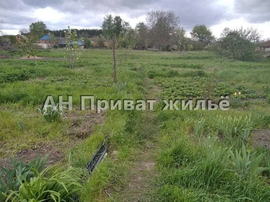 У продажу рівна ділянка на Вакуленцях | Приват житло