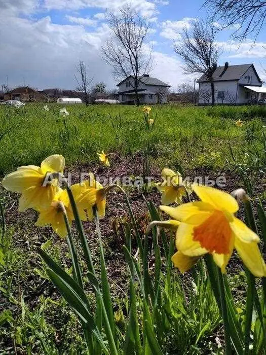 У продажу рівна ділянка на Вакуленцях | Приват житло