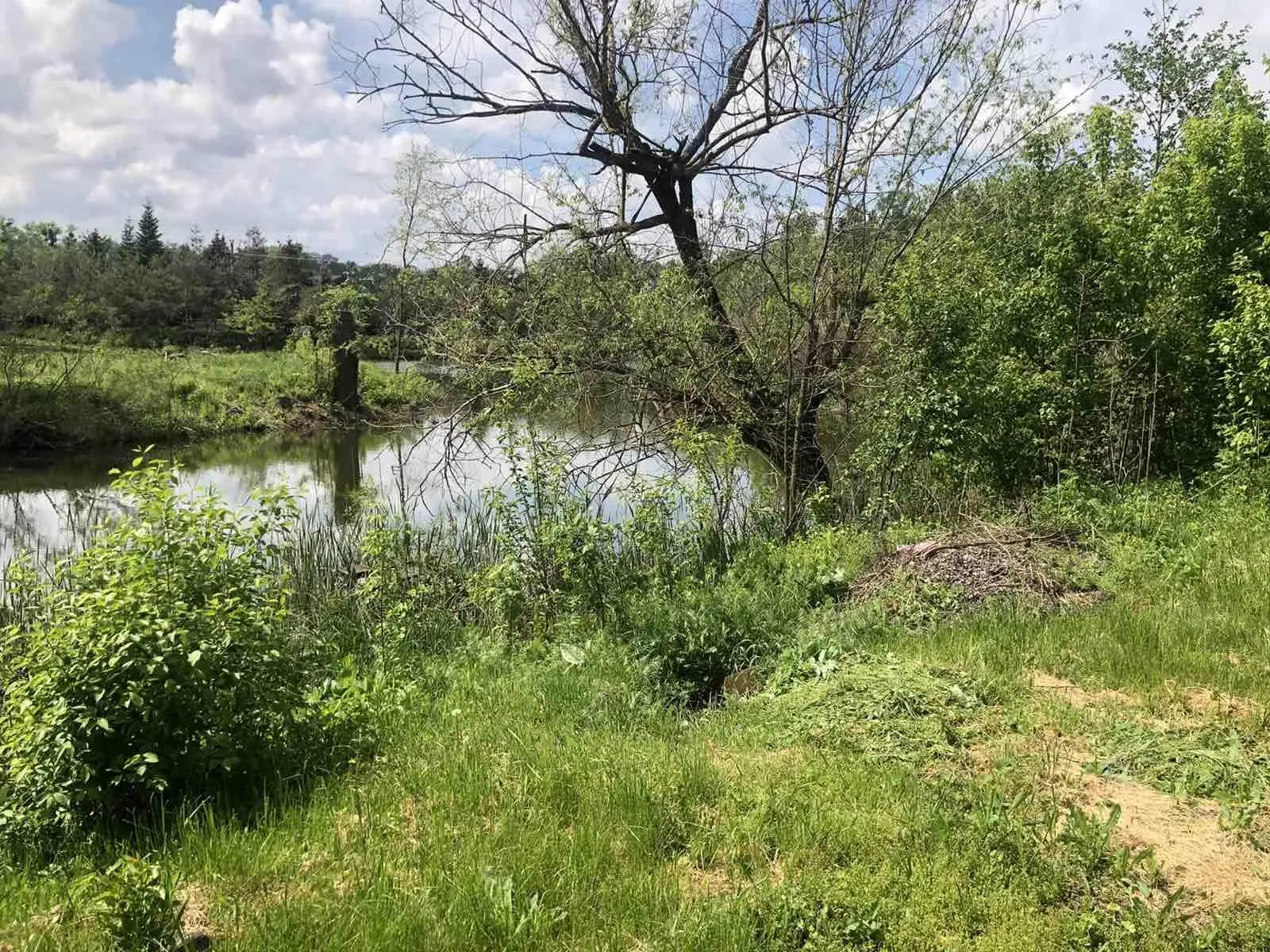 Будинок в Терешках з виходом до озера! | Приват житло