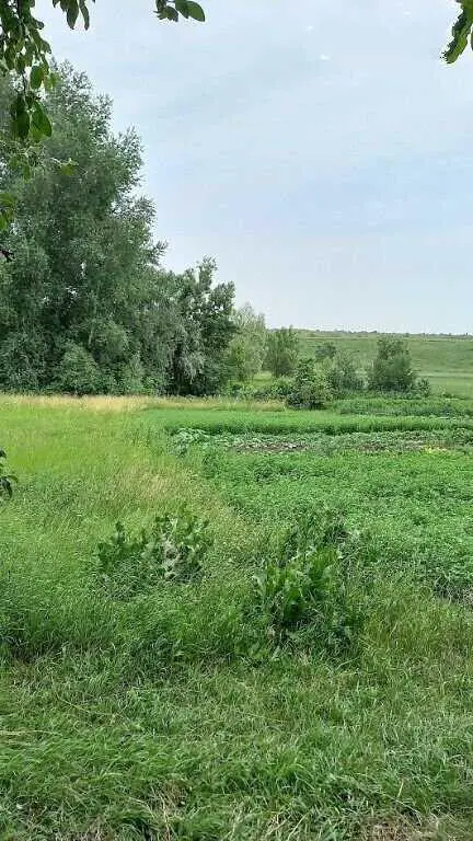 Продажа цегляного будинку в Зорівці. | Приват житло