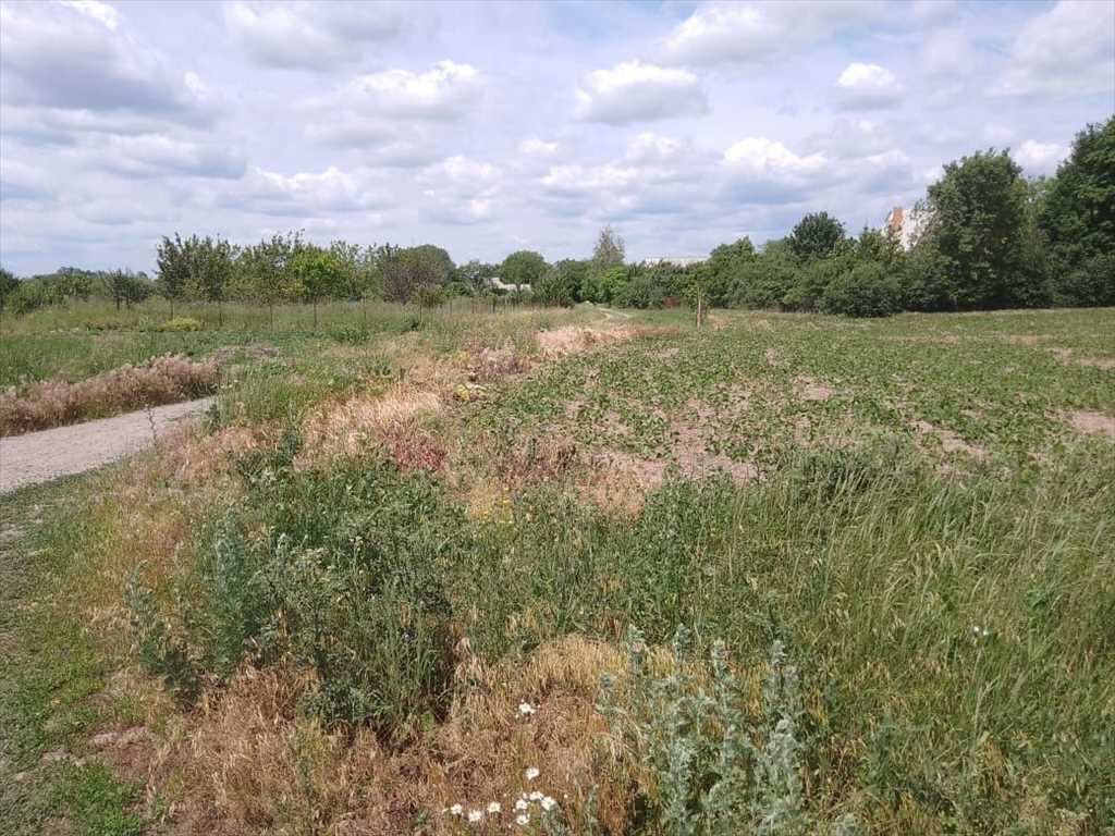 Відмінна ділянка під забудову будинку | Приват житло