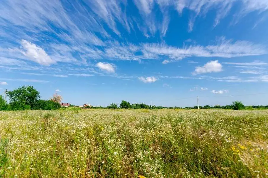 Ділянка в Супрунівці під забудову | Приват житло