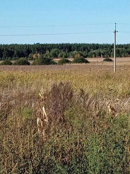 Хороший участок для ведения сельського хозяйства в Полтавском районе  | Приват житло