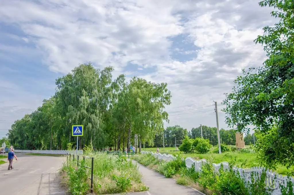 Ділянка під забудову в Супрунівці | Приват житло