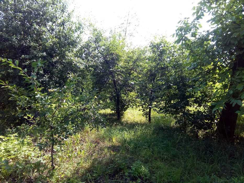 Дача в Кротенках | Приват житло