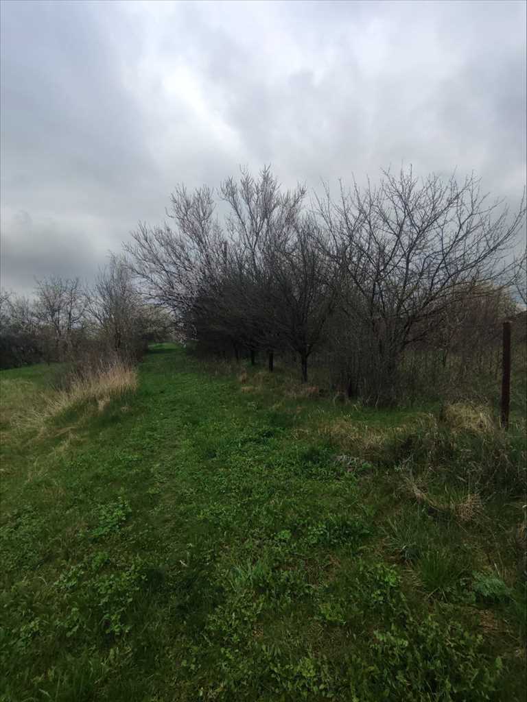 Земельна ділянка під забудову | Приват житло