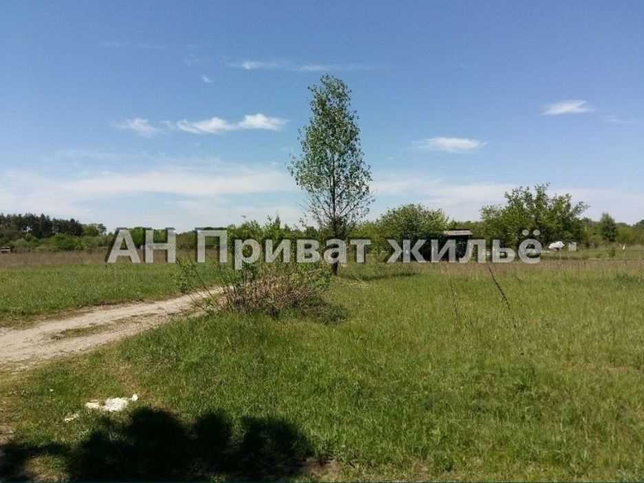 Земельный участок в сосновом лесу | Приват житло