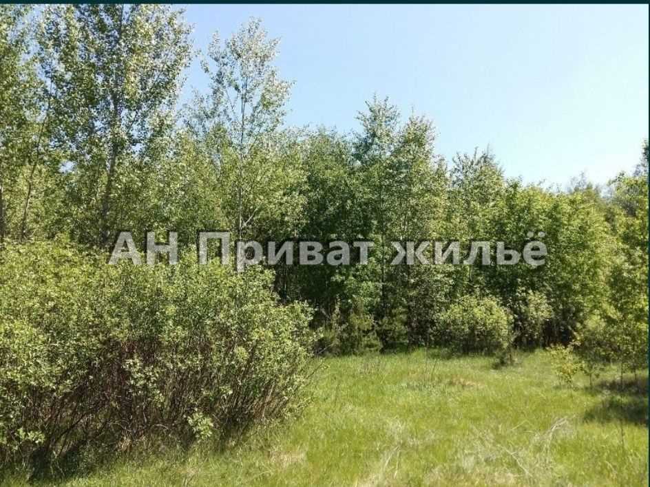 Земельный участок в сосновом лесу | Приват житло
