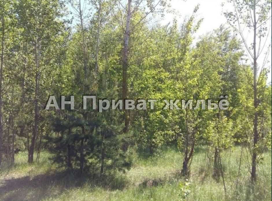 Земельный участок в сосновом лесу | Приват житло