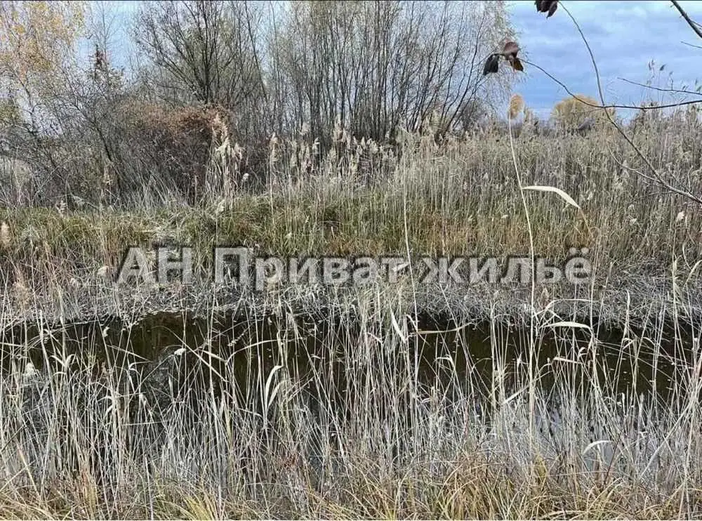 Велика земельна ділянка с. Вербове, світло 380В! | Приват житло