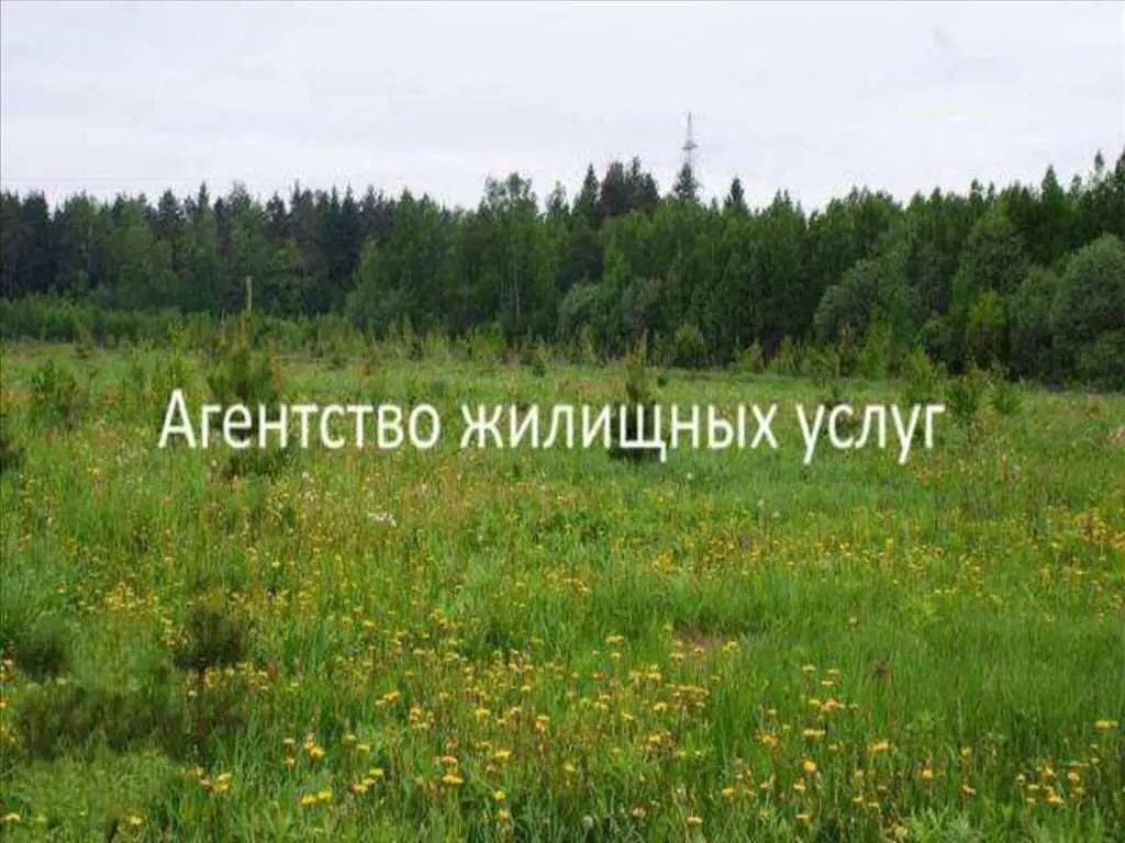 У продажу ділянка в Гожулах | Приват житло
