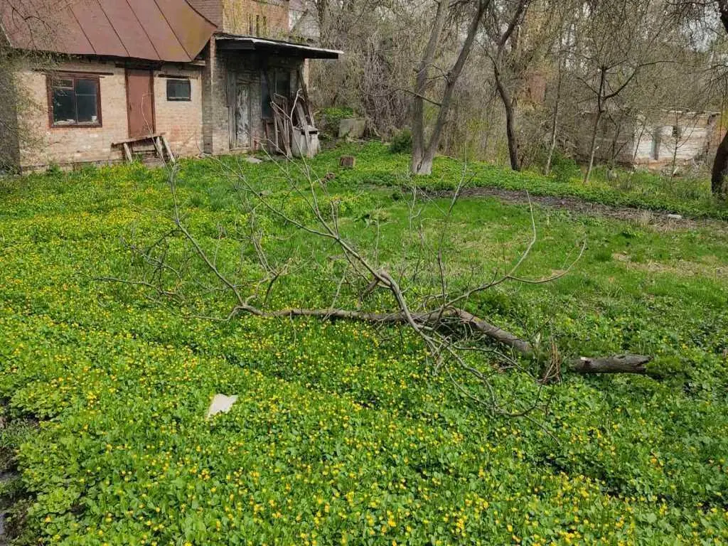 Земельна ділянка у центрі міста, парк Перемоги. | Приват житло
