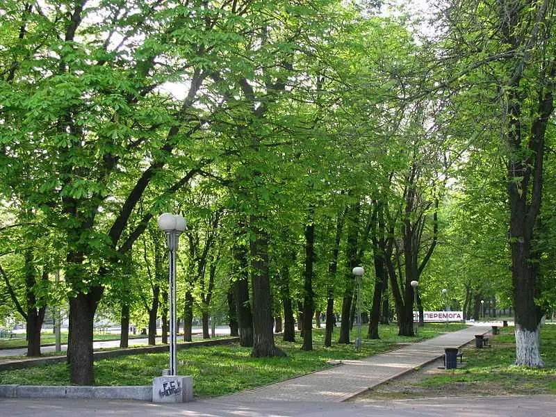 Земельна ділянка у центрі міста, парк Перемоги. | Приват житло