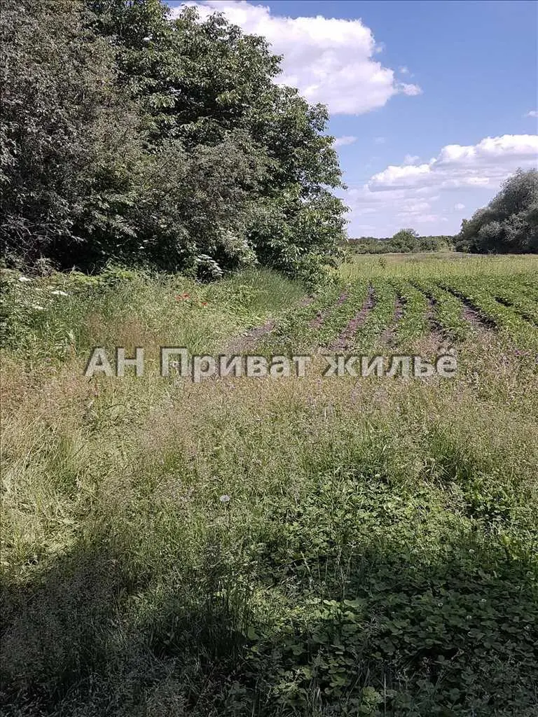 Окремий будинок в селі Бричківка | Приват житло