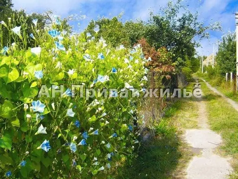 Дача на Вакуленцях | Приват житло