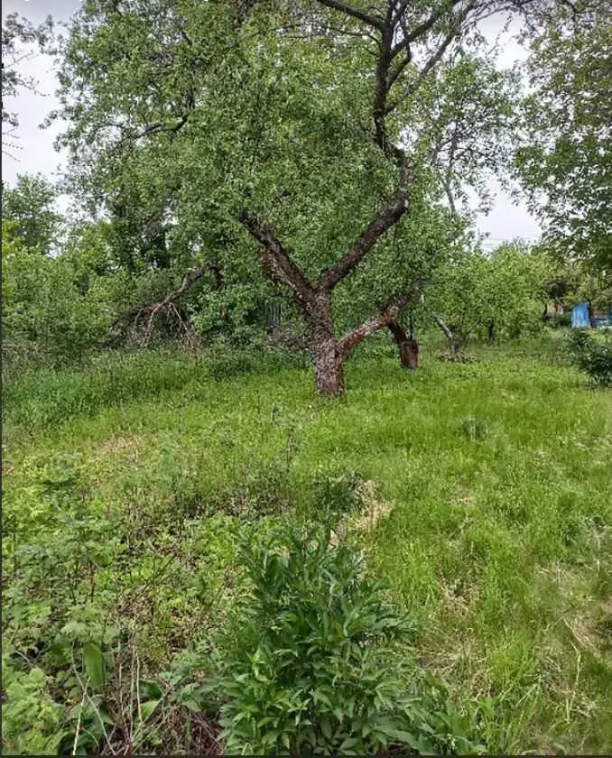 Дачний будинок в районі Автоагрегатного заводу. | Приват житло