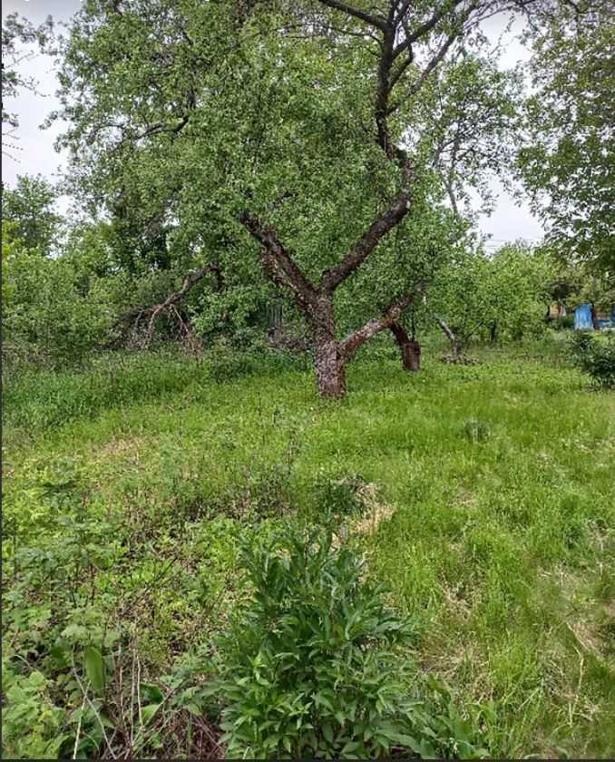 Дачний будинок в районі Автоагрегатного заводу. | Приват житло