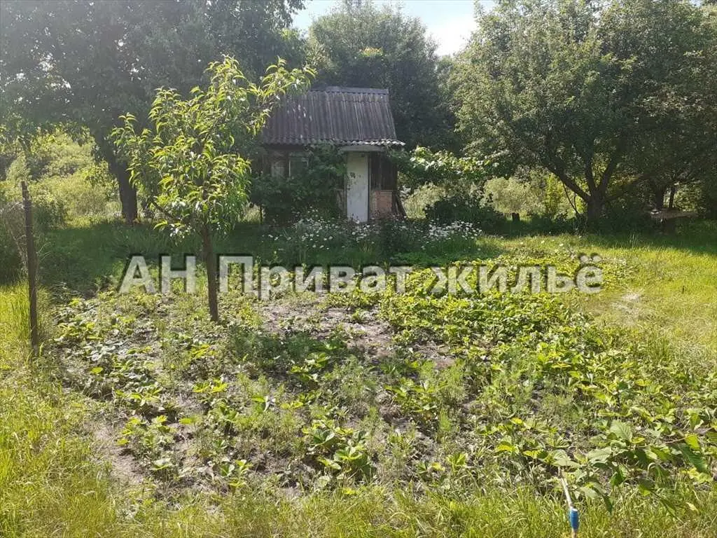 Дача на Вороніна | Приват житло