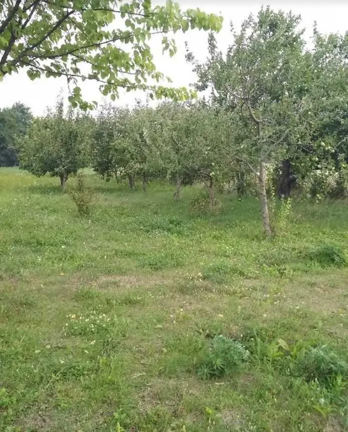 Ділянка під забудову в Івашках! | Приват житло