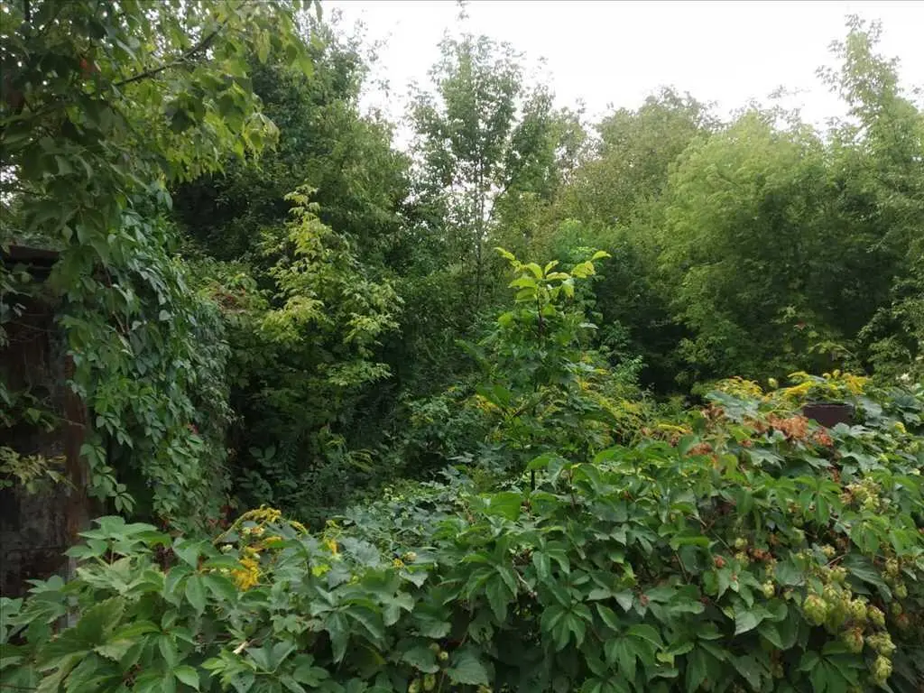 Дачна земельна ділянка по вул.Ромашковій на Вороніна.  | Приват житло