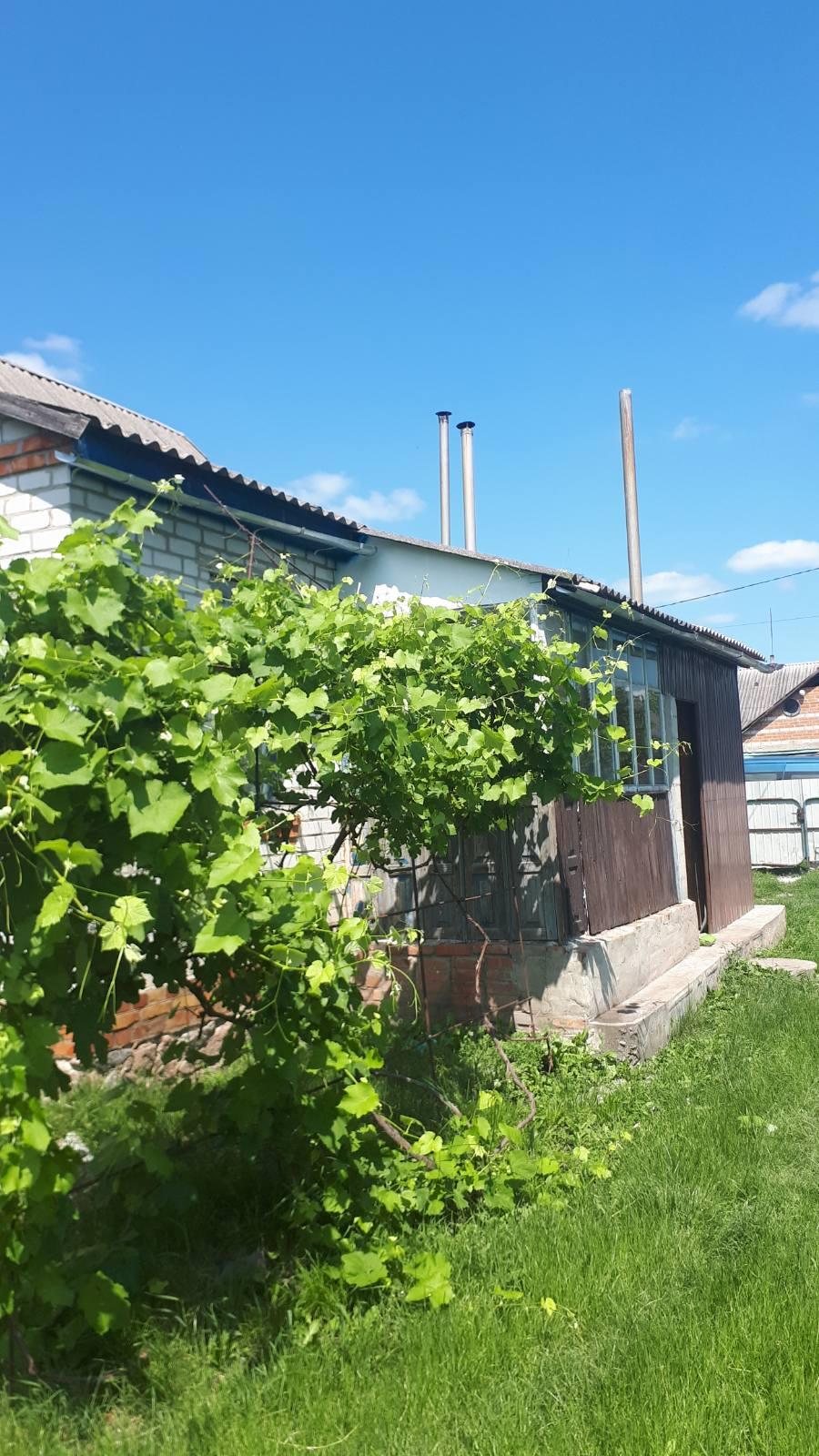 Цегляний будинок в Нових Санжарах | Приват житло