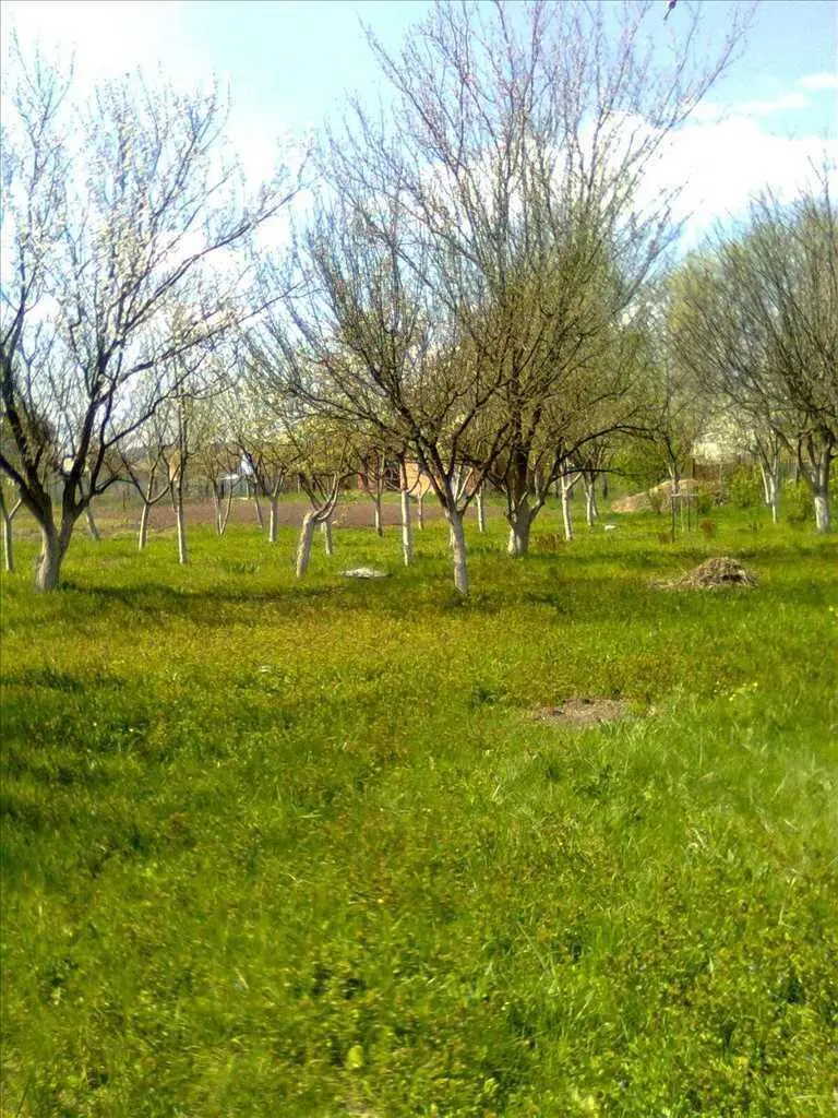 Ділянка на березі водойми, Терешки!  | Приват житло