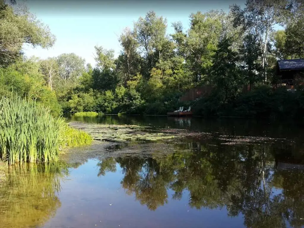Ділянка поруч з річкою у Петрівці!  | Приват житло