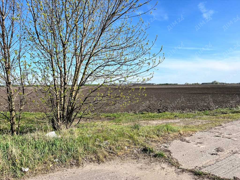 Ділянка 6 га вздовж траси Київ - Харків | Приват житло