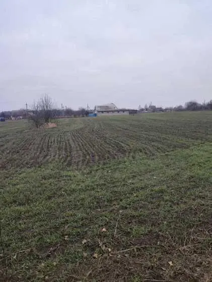 У продажу земельна ділянка в Ковалівці | Приват житло