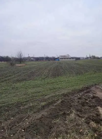 У продажу земельна ділянка в Ковалівці | Приват житло