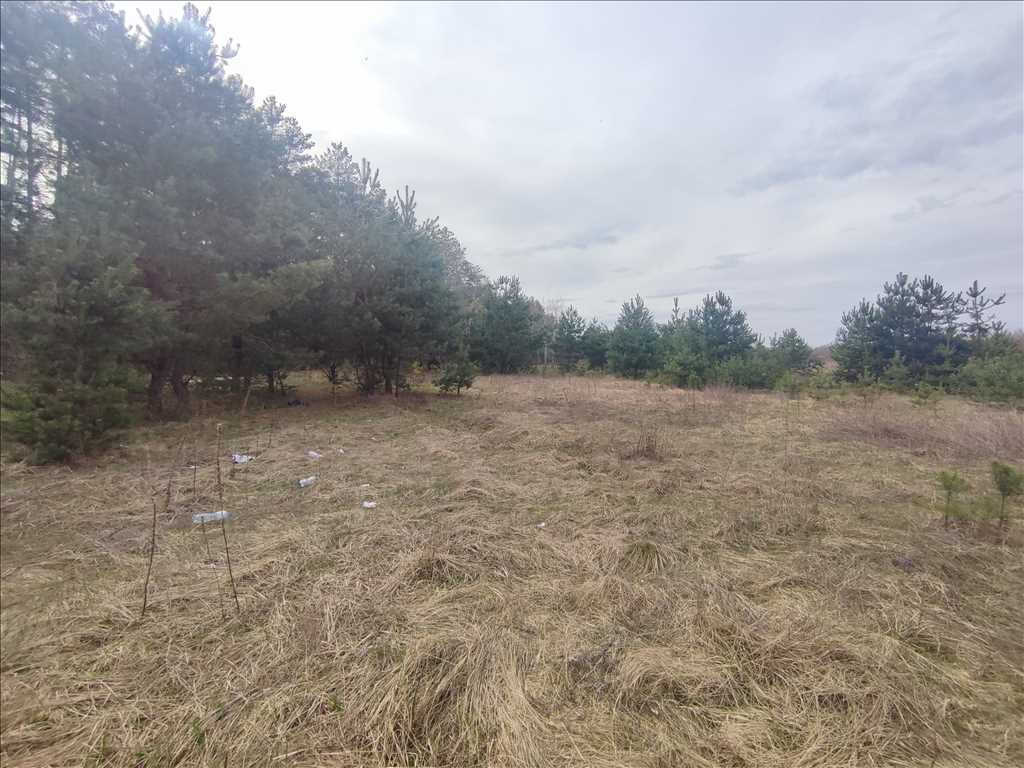 Ділянки поміж соснових насаджень, межа міста! | Приват житло