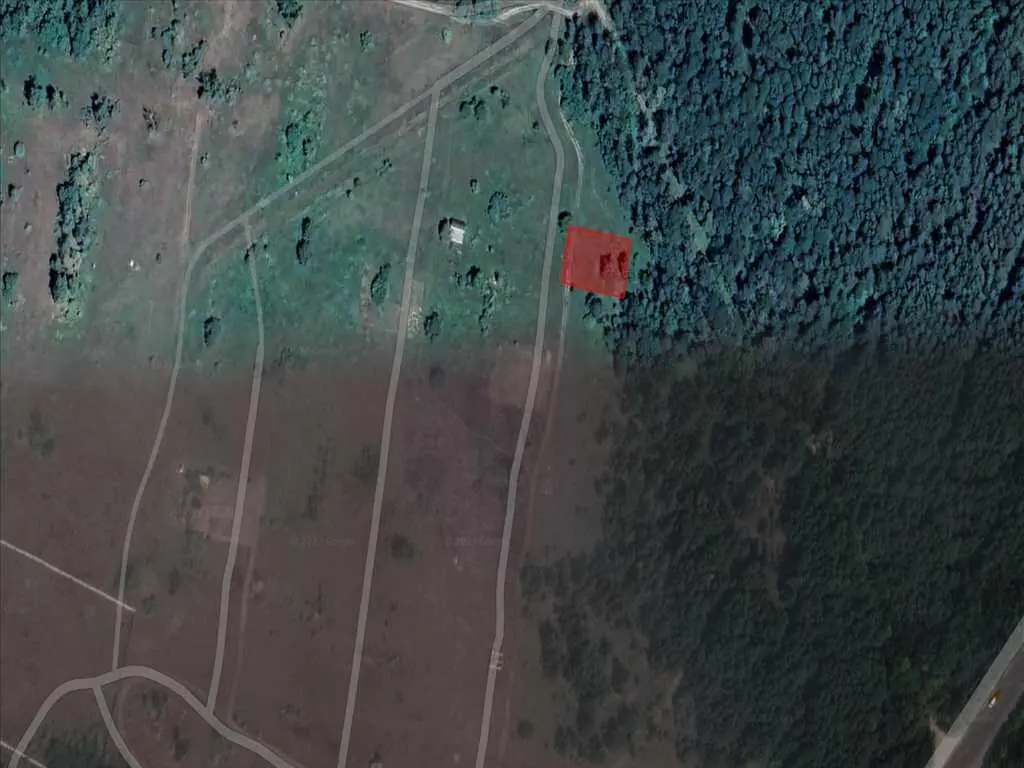 Ділянки поміж соснових насаджень, межа міста! | Приват житло