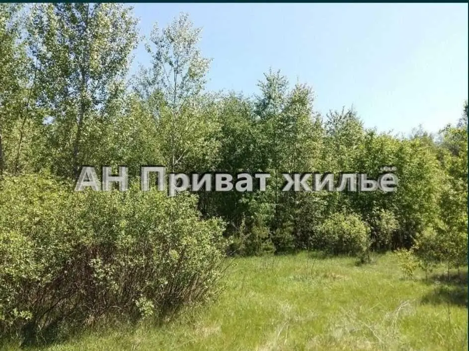 Ділянки поміж соснових насаджень, межа міста! | Приват житло