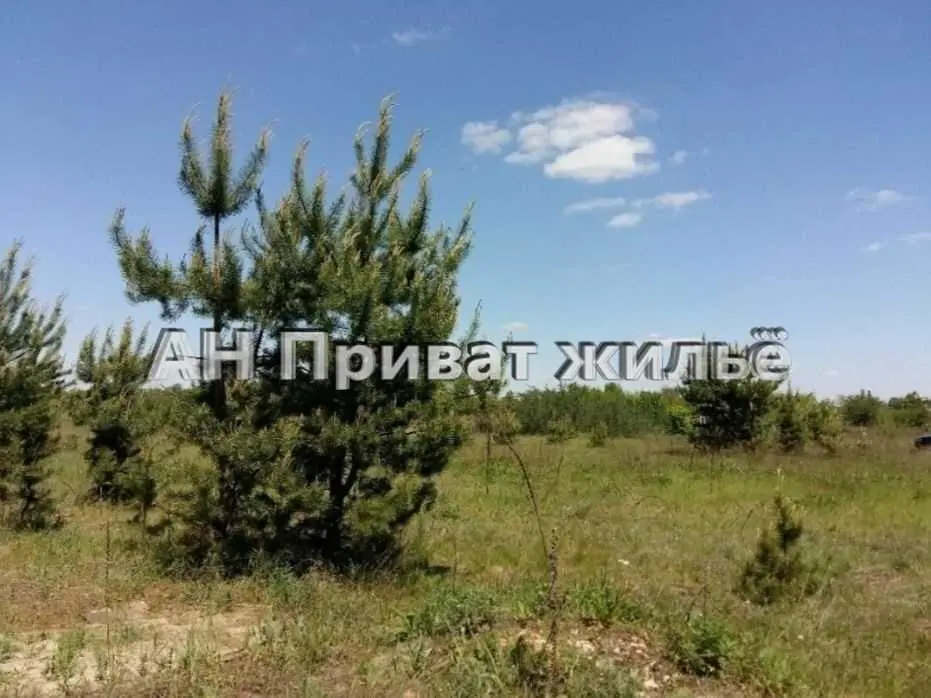 Ділянки поміж соснових насаджень, межа міста! | Приват житло