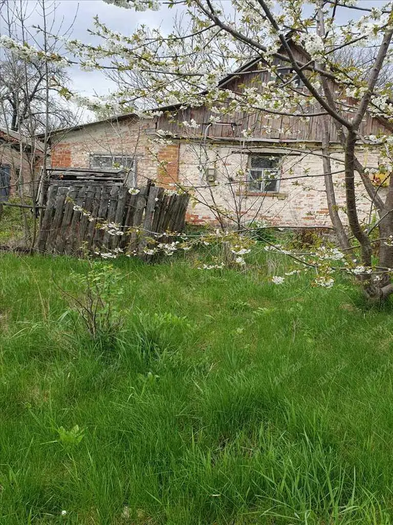 Дача в с.Вільховий Ріг  | Приват житло