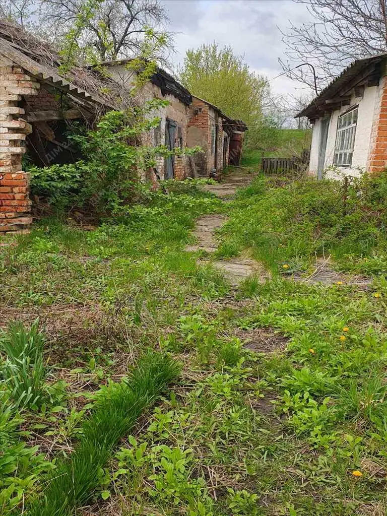 Дача в с.Вільховий Ріг  | Приват житло