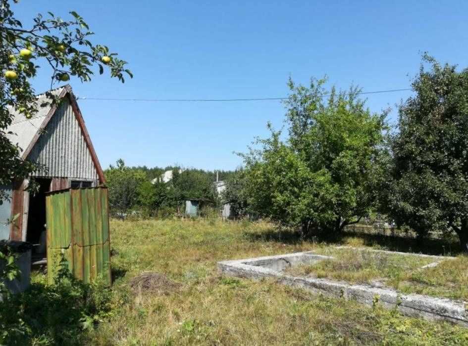 Терешки. Ділянка під садівництво.  | Приват житло