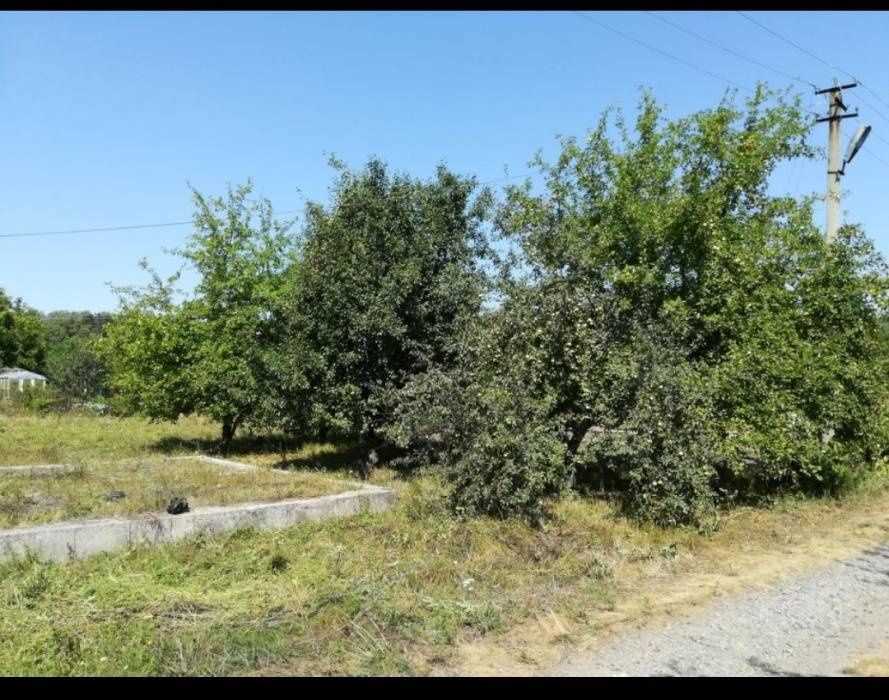 Терешки. Ділянка під садівництво.  | Приват житло