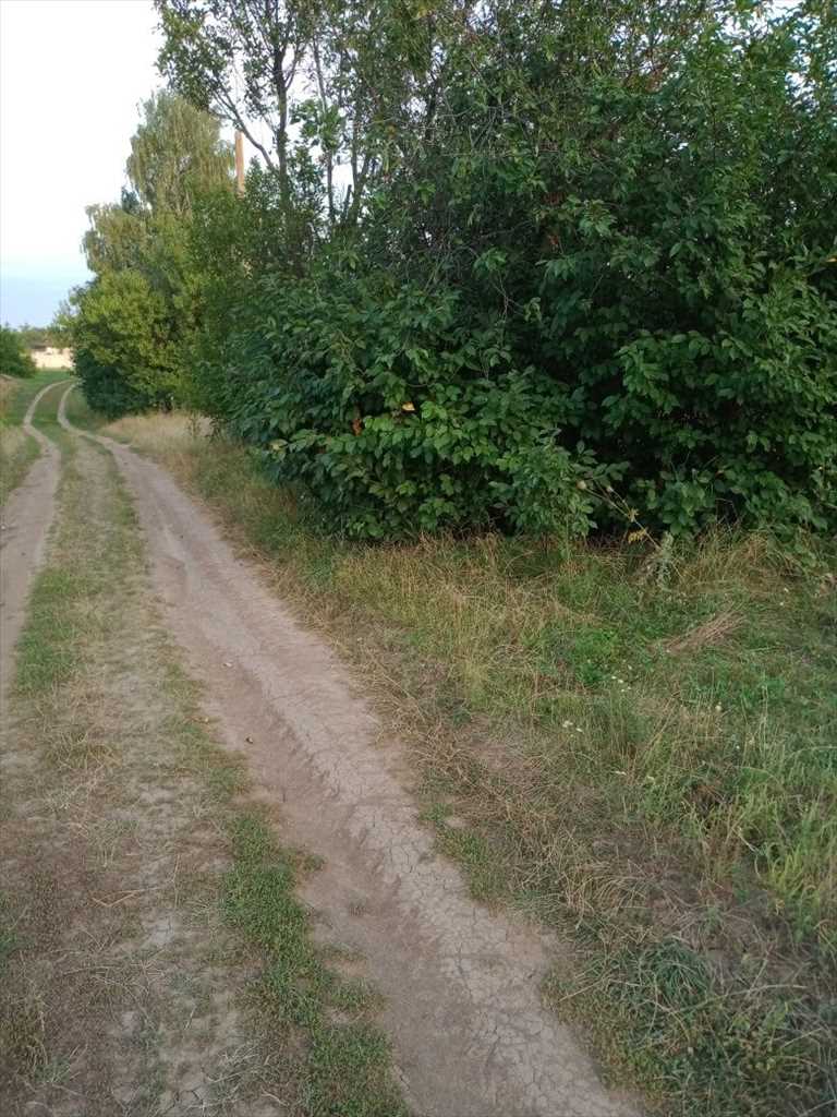 Ділянка для будівництва житлового будинку в с. Супрунівка | Приват житло