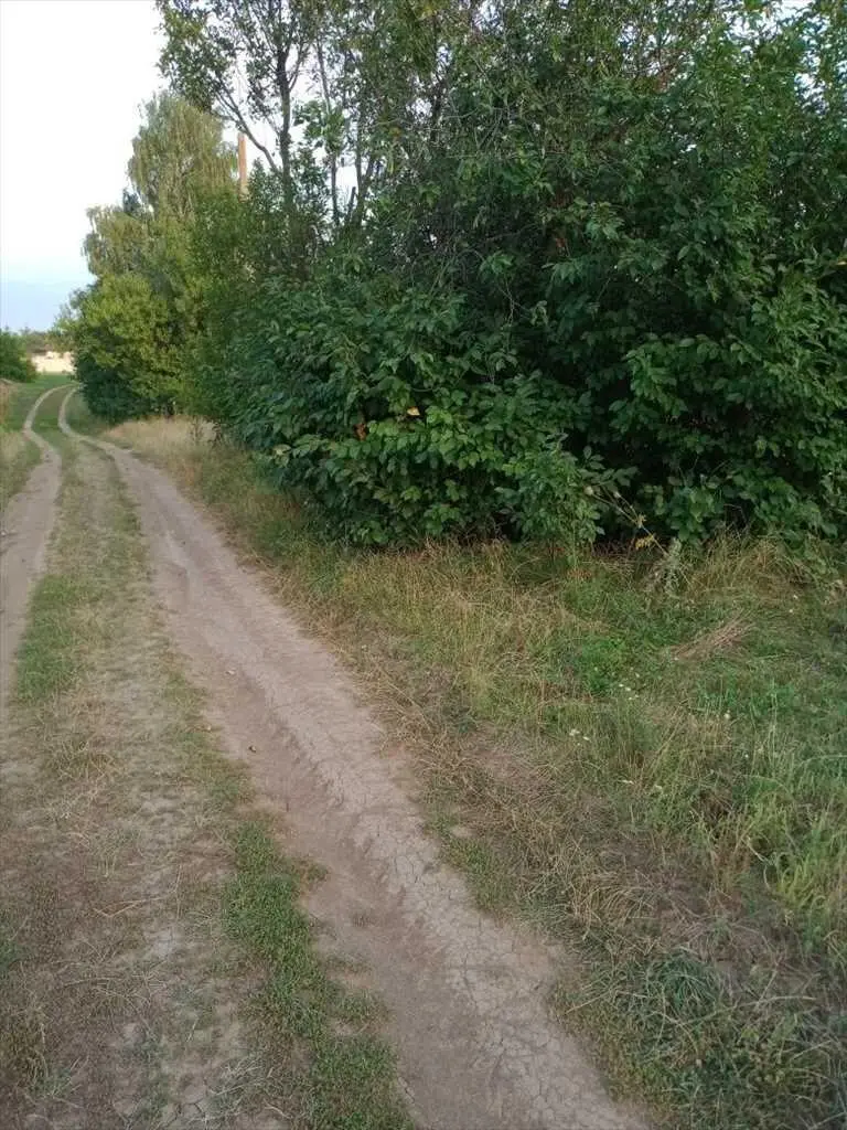 Ділянка для будівництва житлового будинку в с. Супрунівка | Приват житло