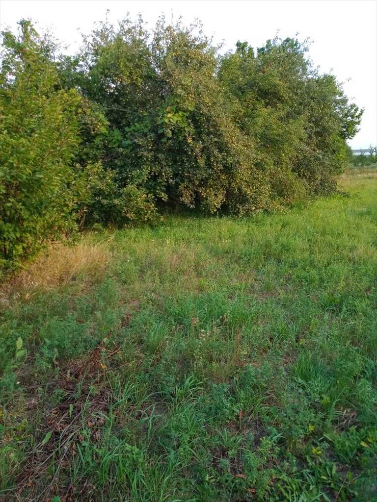 Ділянка для будівництва житлового будинку в с. Супрунівка | Приват житло