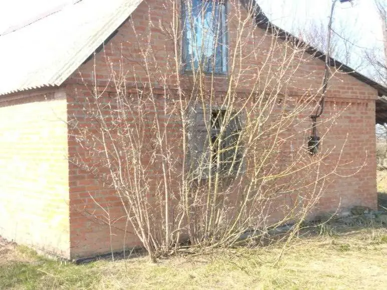 Будинок з великою ділянкою в Давидівці | Приват житло