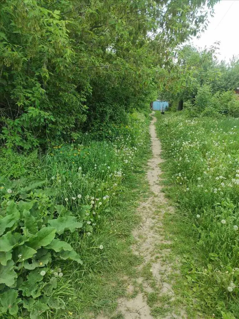 Червона лінія! Продаж будинку з просторою земельною ділянкою на Алмазному | Приват житло