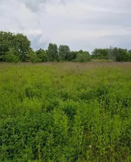  Продається ділянка 10 соток під забудову, с. Івонченці | Приват житло