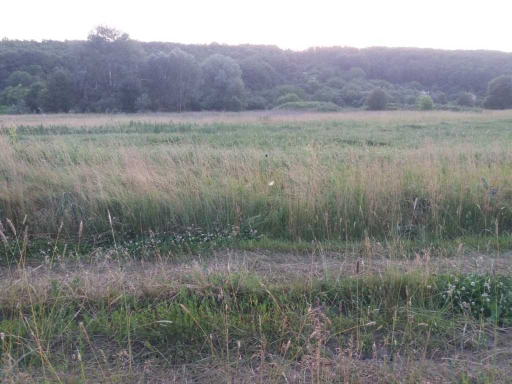 Хочеш побудувати дачу біля річки та не далеко від міста? | Приват житло